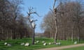 Giuseppe Penone’s Idee di pietra (Ideas of Stone), 2010-24, made of bronze and river stones, in Kensington Gardens, London.