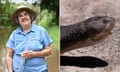 The race to save Mary river turtle nests from rising flood waters in rural Queensland