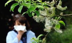A woman blows her nose next to branch of a tree laden with pollen