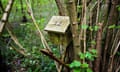 A wooden dormouse nest box attached to a tree.