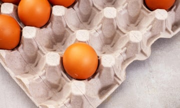 Half empty egg carton