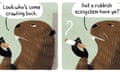 A cartoon beaver smoking a cigarette and saying: “Look who’s come crawling back. Got a rubbish ecosystem have ya?”